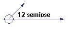 12 semiose