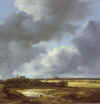 J_van_Ruisdael_View_of_Alkmaar_1655.jpg (240466 bytes)