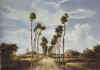 Meindert_Hobbema_The_avenue_middelharnis_1689.jpg (260808 bytes)