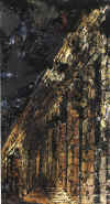 die_Treppe_82-83.jpg (495515 bytes)